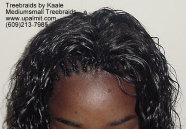 Tree Braids- Top199.