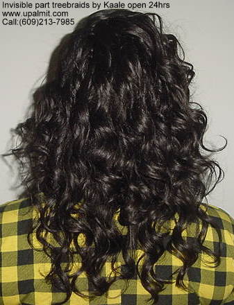 Treebraids by Kaale- curly hair, back view.