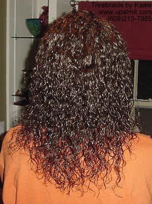 Wet n Wavy individual treebraids, Back View 105.