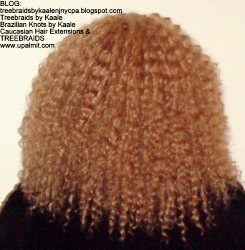 Tree Braids- Cornrows with fluffy Kinky Curly human hair After Back.