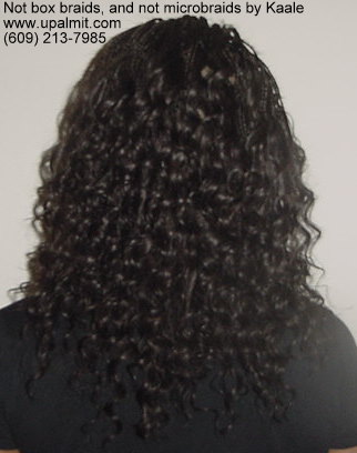 Not box braids styles, not microbraids- Medium Microbraids, back view.