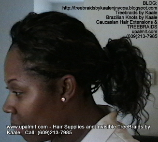Tree Braids- Cornrows with Wavy human hair, in ponytail Side2368.