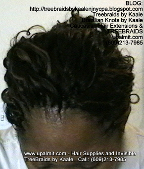 Tree Braids- Cornrows with Wavy human hair, in ponytail Top2367.