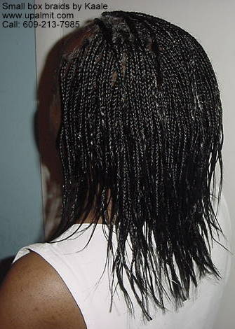 Boxbraids, pixi- small L1a.