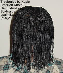 Boxbraids, pixi- small Bk1a.