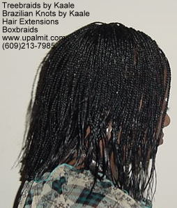 Boxbraids, pixi- small R1a.