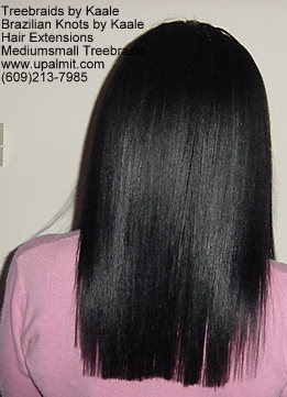 Straight Mediumsmall Treebraids- 500-Back.