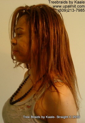 Straight TreeBraids- Left view, New!