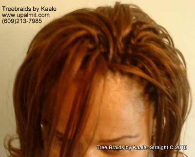 Straight TreeBraids- Top view, New!