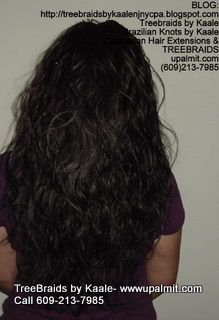 Treebraids Back2205.