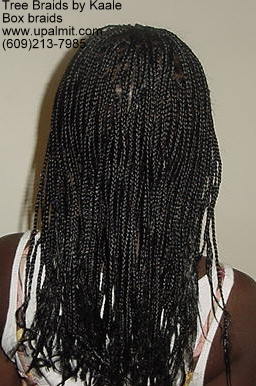 Box braids- back.