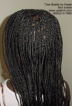 Box braids- Left.