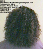 Tree Braids by Kaale, individual treebraids with curly deep bulk hair Back.
