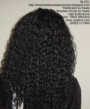 Curly Treebraids, KAALE Brand ABack137.