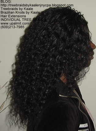 Curly Treebraids, ARight136.