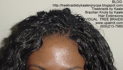 Curly Treebraids, ATop138.