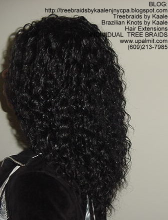 Curly Treebraids, ARight136.