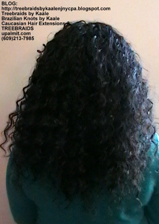 Tree Braids- Cornrows with Deep Bulk human hair Back2284.
