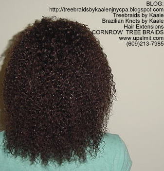 Kinky Curly cornrow Treebraids, Back248.