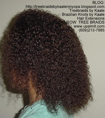Kinky Curly cornrow Treebraids, Left249.