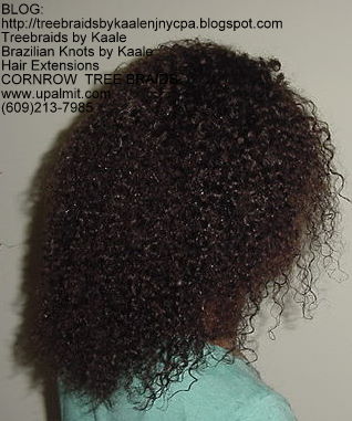 Kinky Curly cornrow Treebraids, Right250.