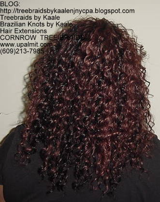 Curly Tree Braids, Back228.