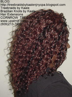 Curly Tree Braids, Right229.