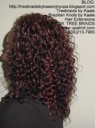 Curly Tree Braids, Left230.