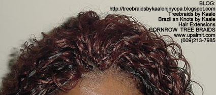 Curly Tree Braids, Top231.