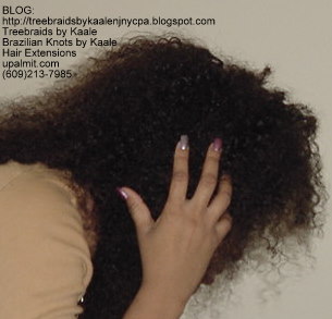 Curly Tree Braids, Right80.