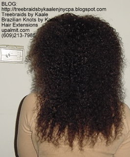 Curly Tree Braids, Back78.