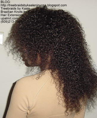 Curly Tree Braids, Left79.