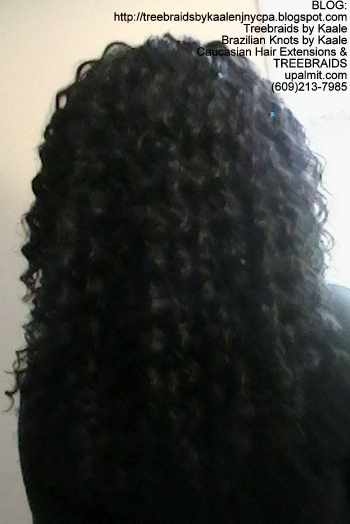 Tree Braids- Cornrows with Deep Bulk human hair, Back2347.