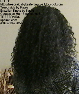 Tree Braids- Individuals with Deep Bulk human hair Back2264.