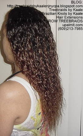 Wet and Wavy cornrow Treebraids Left2149.