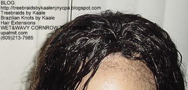 Wet and Wavy cornrow Treebraids Top2151.