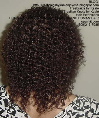 Cornrow Tree Braids KAALE Brand Kinky curly Back173.