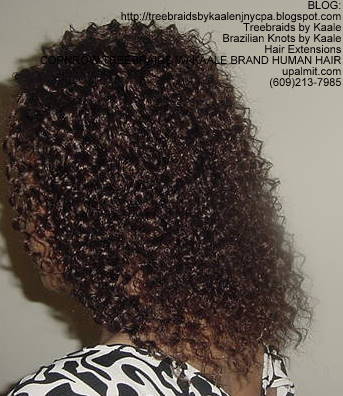 Cornrow Tree Braids KAALE Brand Kinky curly Left174.