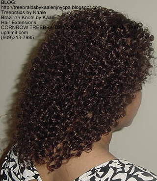 Cornrow Tree Braids KAALE Brand Kinky curly Right175.
