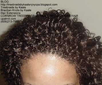 Cornrow Tree Braids KAALE Brand Kinky curly Top176.