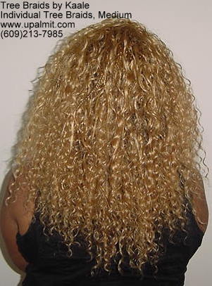 Curly individual treebraids 6.
