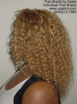 Curly individual treebraids 7.
