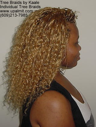 Curly individual treebraids 8.