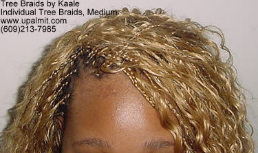 Curly individual treebraids 9.