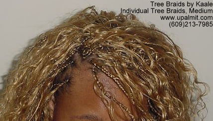 Curly individual treebraids 10.