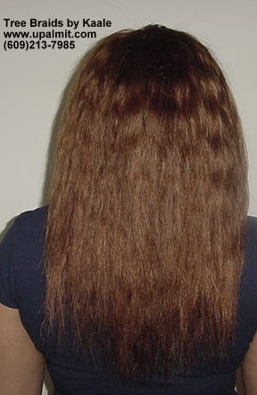 Tree Braids- Back view.