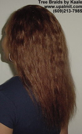 Tree Braids- Left view.