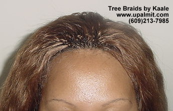 Tree Braids- Top.