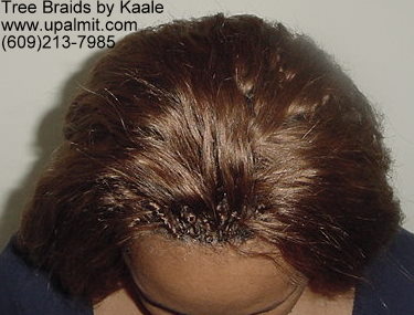 Tree Braids- Top2.
