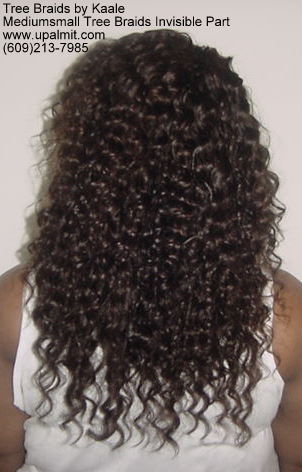 Mediumsmall tree braids with signature Invisible part, Back300.